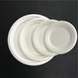 Bagasse Paper Plate 10''