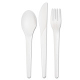 Eco Friendly 6" Soup Spoon CPLA